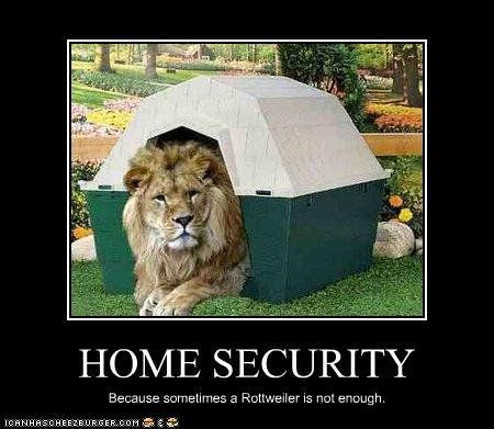 Если ваш дом в Африке, заведите льва для защиты дома